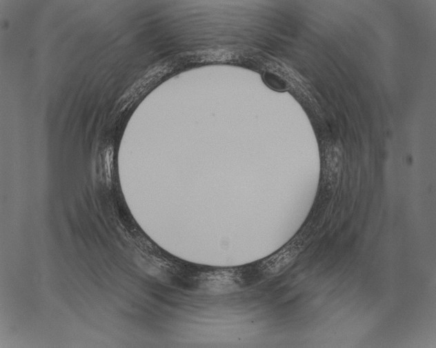 X0000066950118200604211825