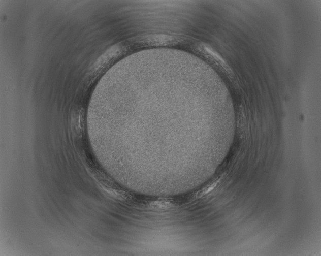 X0000066950119200604211825