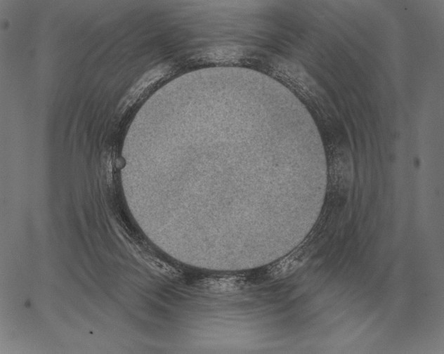 X0000066950120200604211825