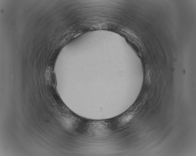 X0000066950121200604211825