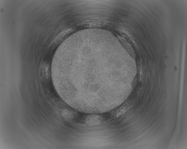 X0000066950123200604211825