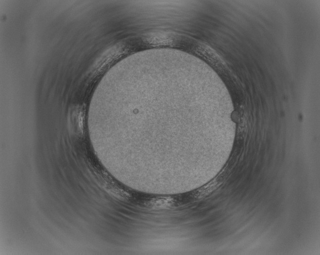 X0000066950124200604211825