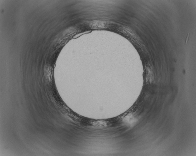 X0000066950125200604211825