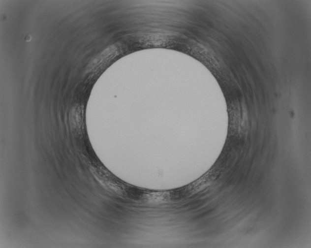 X0000066950126200604211825