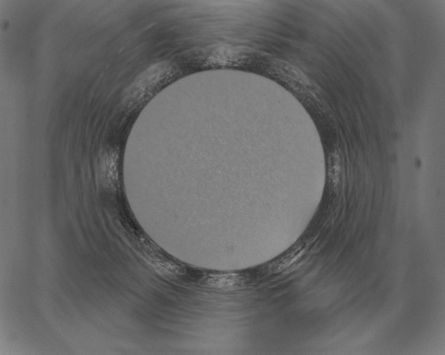 X0000066950127200604211825