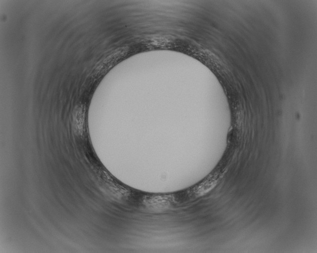 X0000066950129200604211825