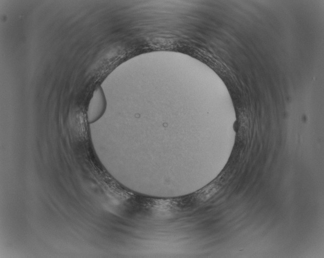 X0000066950130200604211825