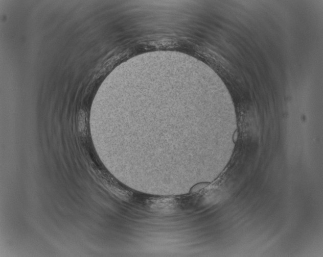 X0000066950132200604211825