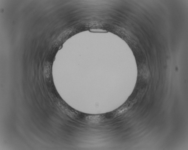 X0000066950133200604211825