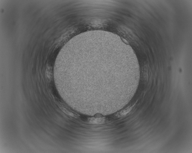 X0000066950135200604211825