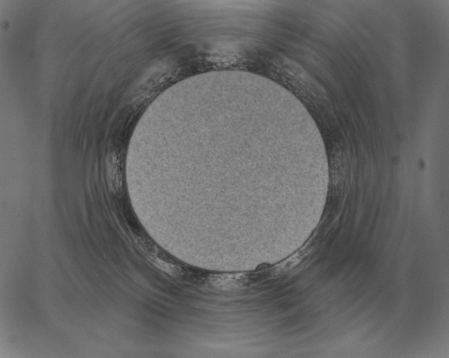 X0000066950136200604211825