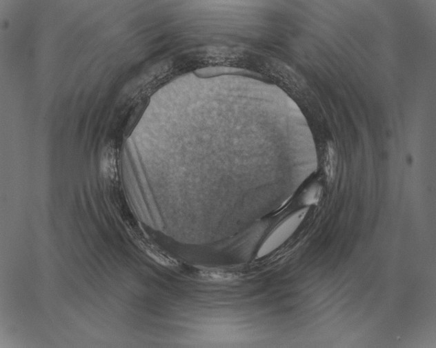 X0000066950137200604211825