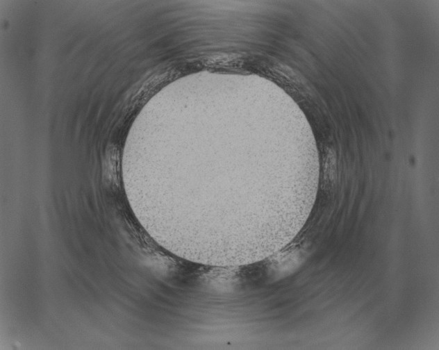 X0000066950138200604211825