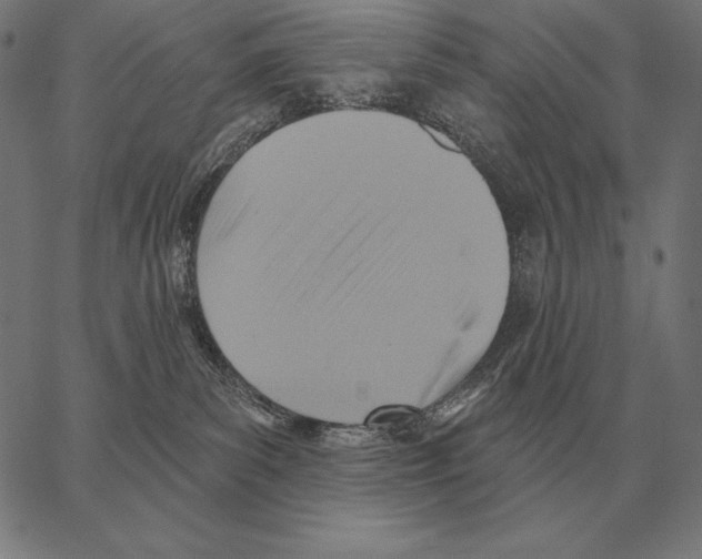 X0000066950139200604211825