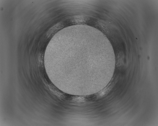 X0000066950140200604211825