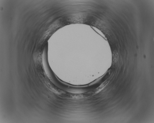 X0000066950141200604211825