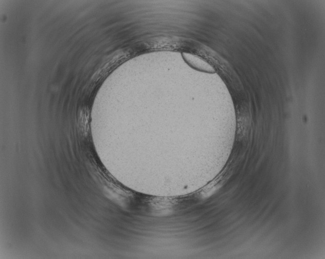 X0000066950142200604211825