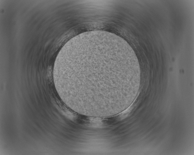 X0000066950144200604211825