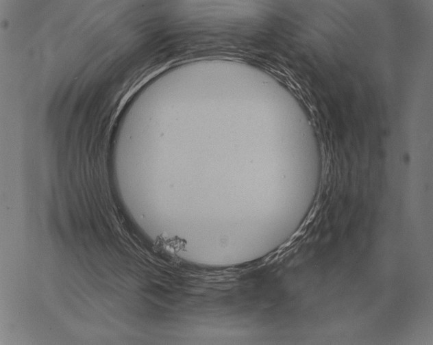 X0000066950146200604211824