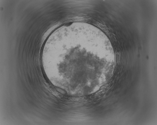 X0000066950147200604211824