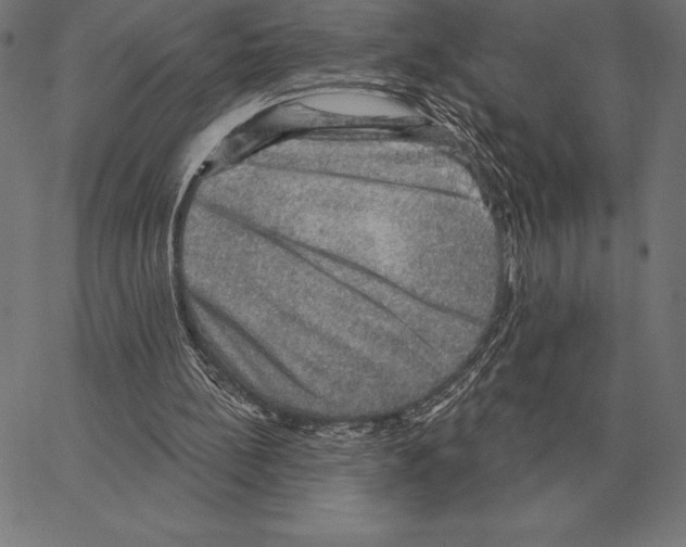 X0000066950148200604211824