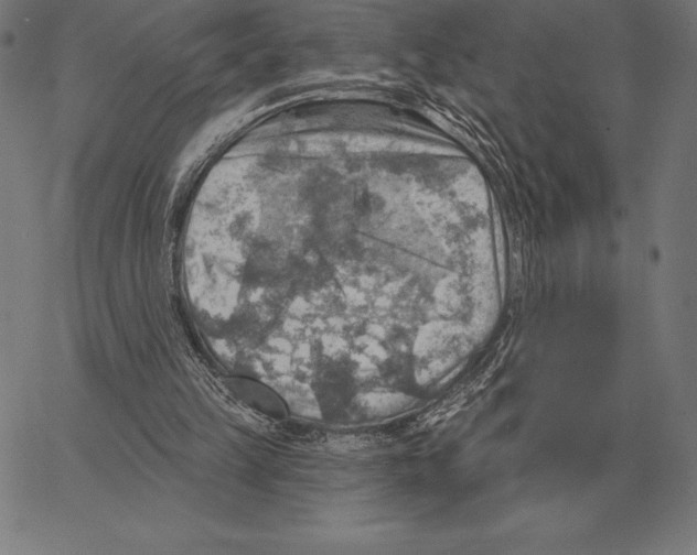 X0000066950149200604211824