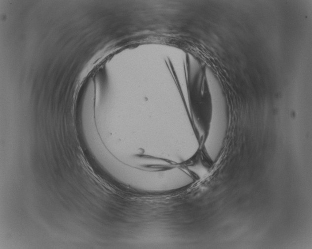 X0000066950150200604211824