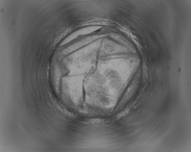 X0000066950153200604211824