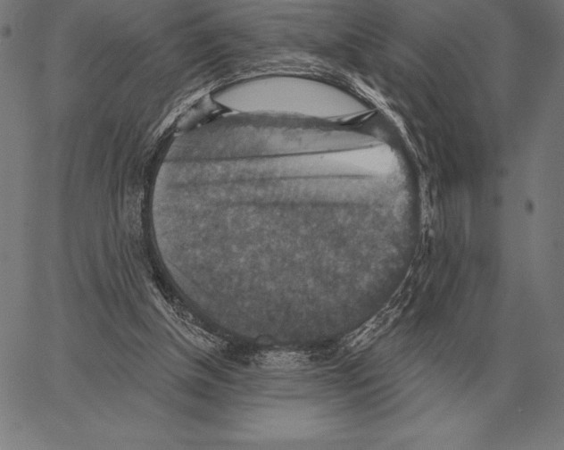 X0000066950154200604211824