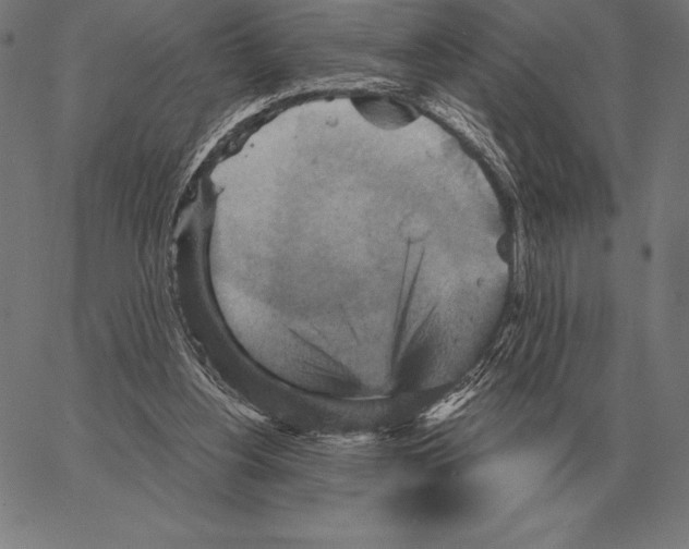 X0000066950156200604211824