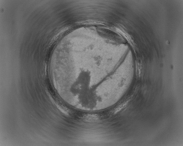 X0000066950157200604211824