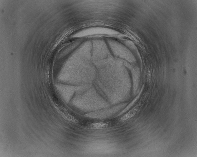 X0000066950158200604211824