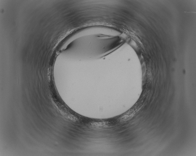 X0000066950160200604211824