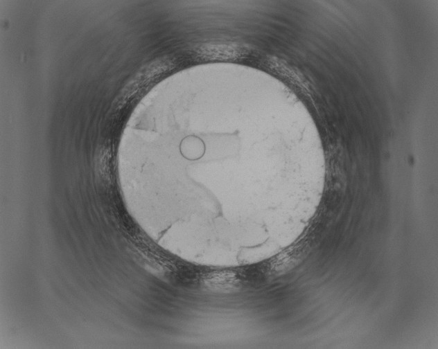 X0000066950162200604211824