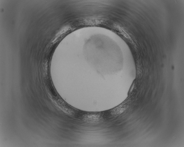 X0000066950163200604211824