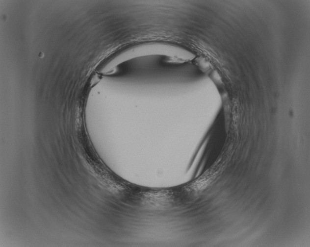 X0000066950164200604211824