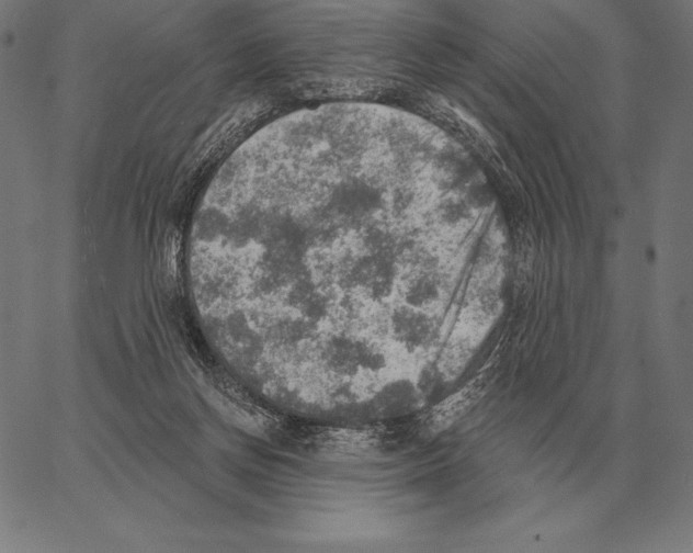 X0000066950166200604211824