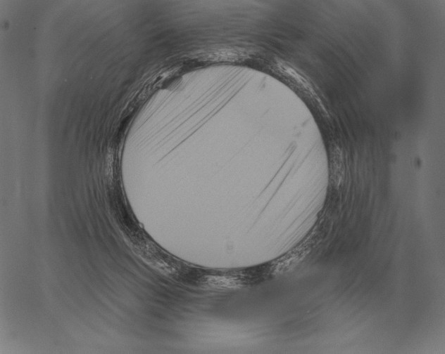 X0000066950167200604211824