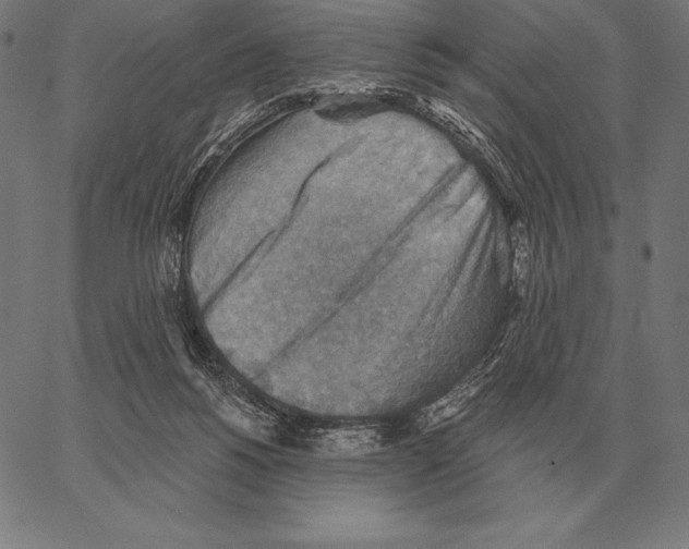 X0000066950168200604211824