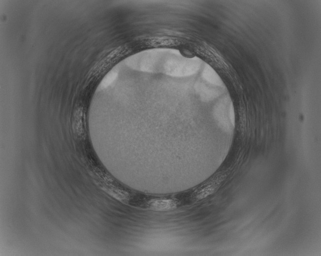 X0000066950169200604211824