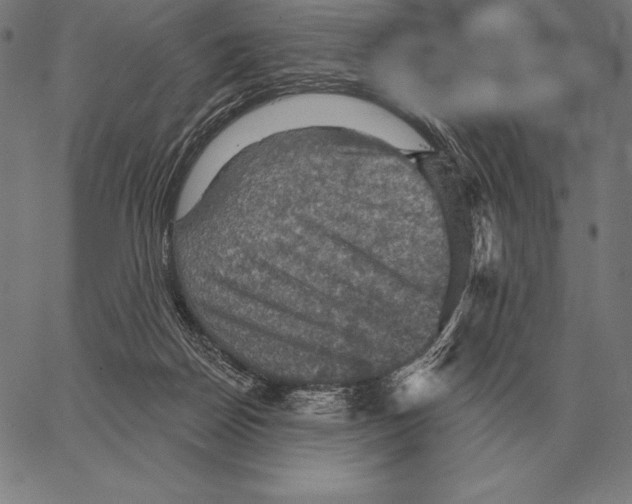 X0000066950170200604211824