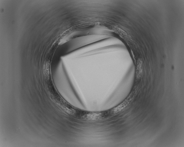 X0000066950172200604211824