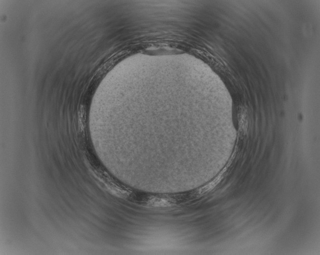 X0000066950174200604211824