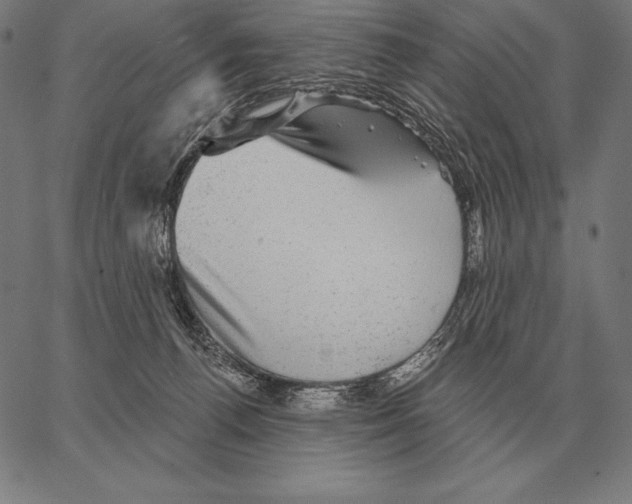 X0000066950176200604211824