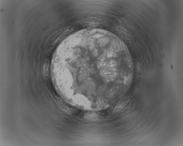 X0000066950177200604211824