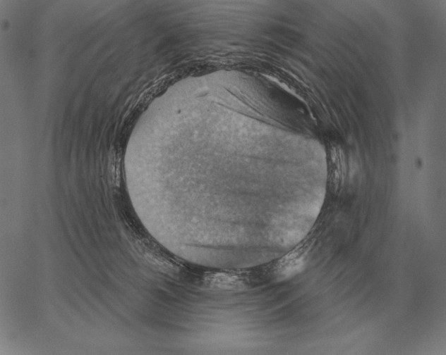 X0000066950180200604211824