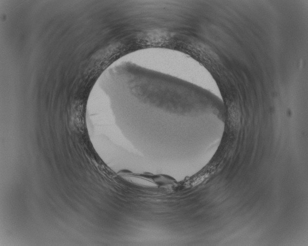 X0000066950181200604211824