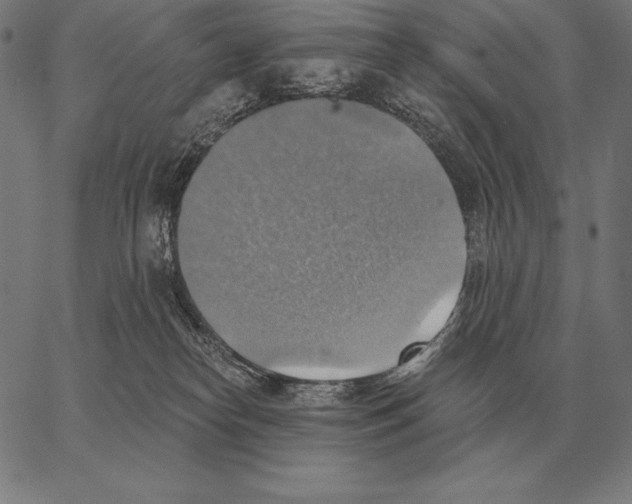 X0000066950182200604211824