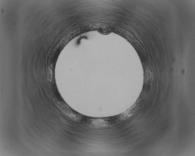 X0000066950183200604211824