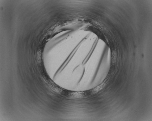 X0000066950184200604211824